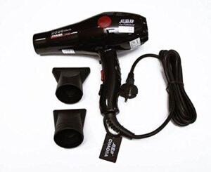  CHAOBA 2000 Watts Professional Hair Dryer (Black)