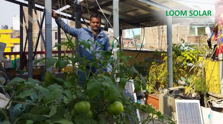 Which is the most effective photo voltaic panel for soil-less farming?